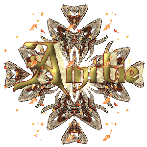 une amie c'est......