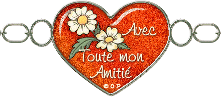 pour mes poulettes.
