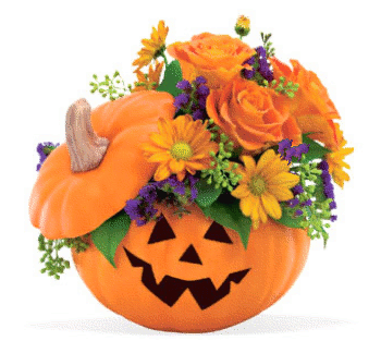 vive halloween dans 1 moi