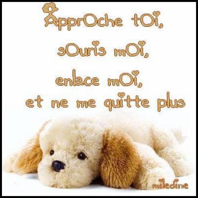 pour toi que j'aime tant.