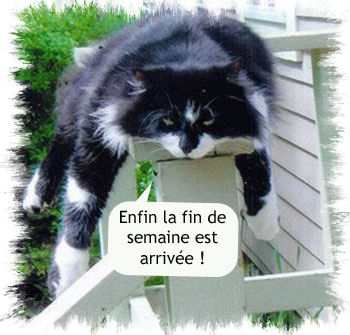 que ca fais du bien quand la fin de la semaine est la :)