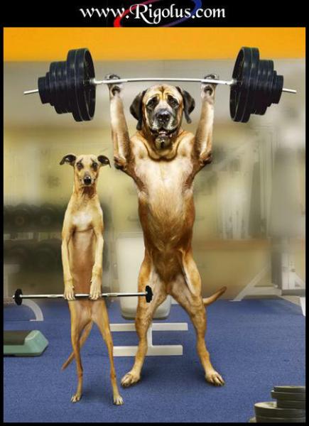 allez tout le monde au sport.