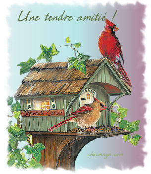 A vous mes poulettes.