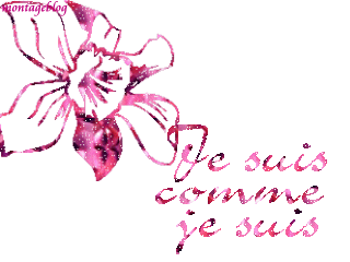 rester tjr comme vous etes, ont dois vous aimez pour se que vous etes et pas pour se que vous v ous faites passer.